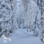 Pusikko - Cozy - Ice Swimming - Sauna - Fireplace - Barbeque Shed 木屋 库萨莫