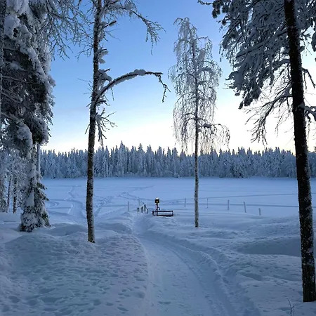 Pusikko - Cozy - Ice Swimming - Sauna - Fireplace - Barbeque Shed