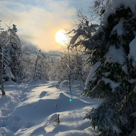 Pusikko - Cozy - Ice Swimming - Sauna - Fireplace - Barbeque Shed 쿠사모