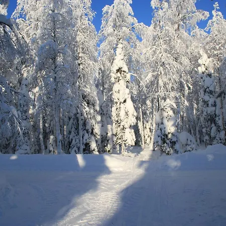 Pusikko - Cozy - Ice Swimming - Sauna - Fireplace - Barbeque Shed * Kuusamo