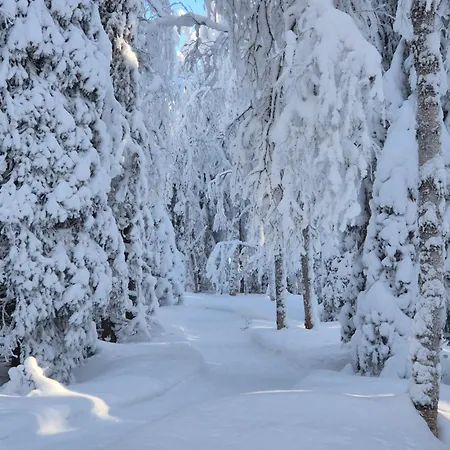 Pusikko - Cozy - Ice Swimming - Sauna - Fireplace - Barbeque Shed Chalet Kuusamo