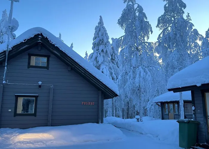 Pusikko - Cozy - Ice Swimming - Sauna - Fireplace - Barbeque Shed *