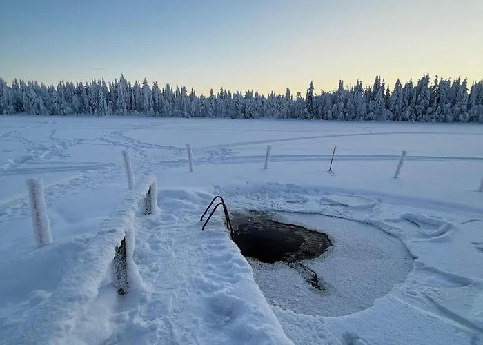 Chalé Pusikko - Cozy - Ice Swimming - Sauna - Fireplace - Barbeque Shed *