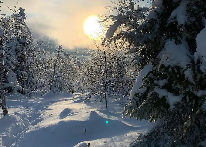Pusikko - Cozy - Ice Swimming - Sauna - Fireplace - Barbeque Shed Kuusamo