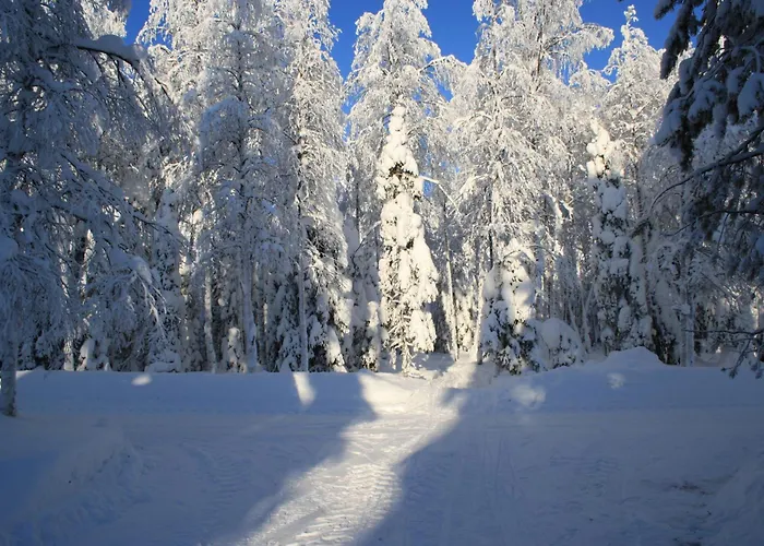 Pusikko - Cozy - Ice Swimming - Sauna - Fireplace - Barbeque Shed * Kuusamo