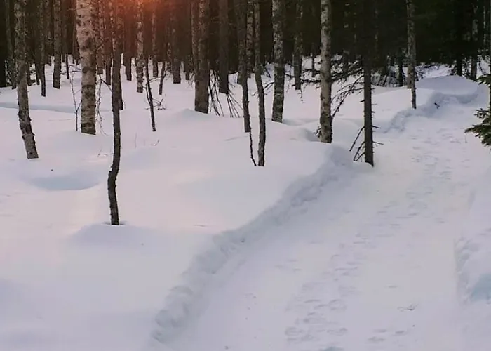 Pusikko - Cozy - Ice Swimming - Sauna - Fireplace - Barbeque Shed Chalé