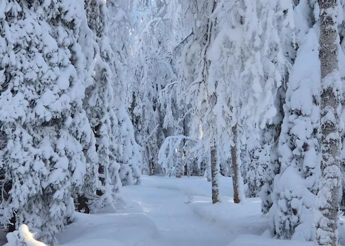 Pusikko - Cozy - Ice Swimming - Sauna - Fireplace - Barbeque Shed Chalé Kuusamo
